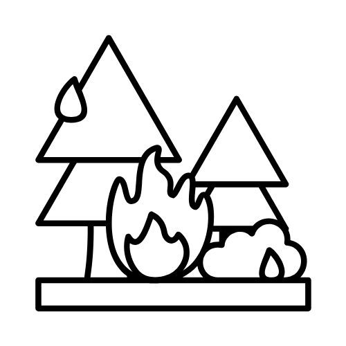 Forest on fire icon Forest on fire icon